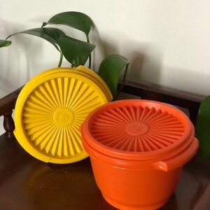 Tupperware Wonderlier Bowls with Seal Lids • Set of 2 • 1970s
